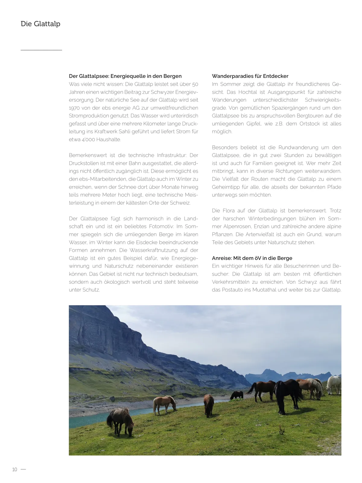 Ausgabe 2026, Seite 10
