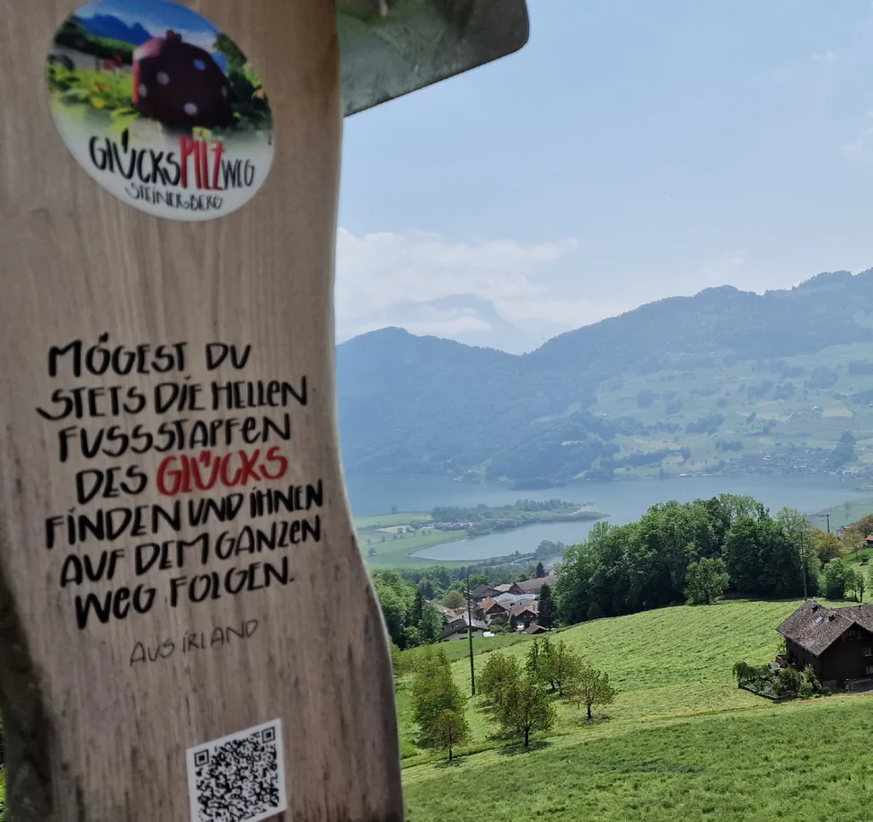 Bild aus dem Beitrag «Highlights im Talkessel Schwyz»
