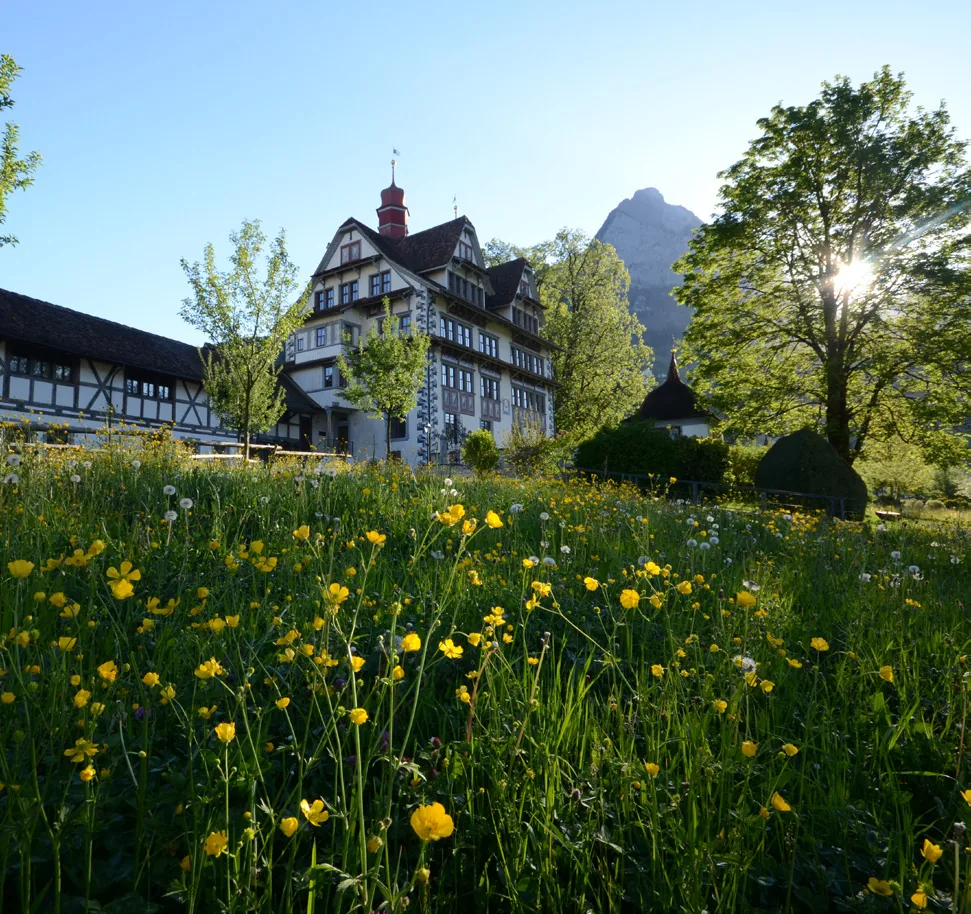 Bild aus dem Beitrag «Highlights im Talkessel Schwyz»
