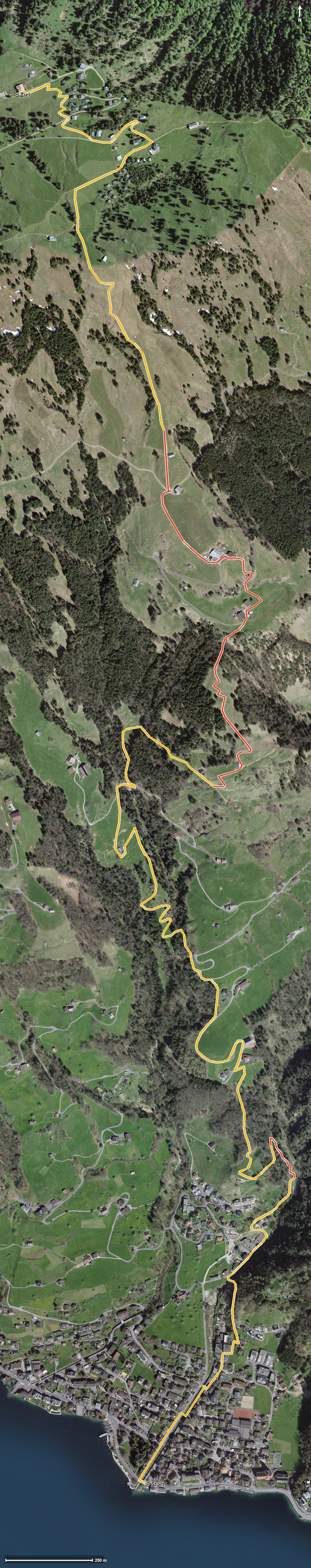 Luftbild mit eingezeichneter Route: Bergwanderweg Gersau - Rigi Scheidegg