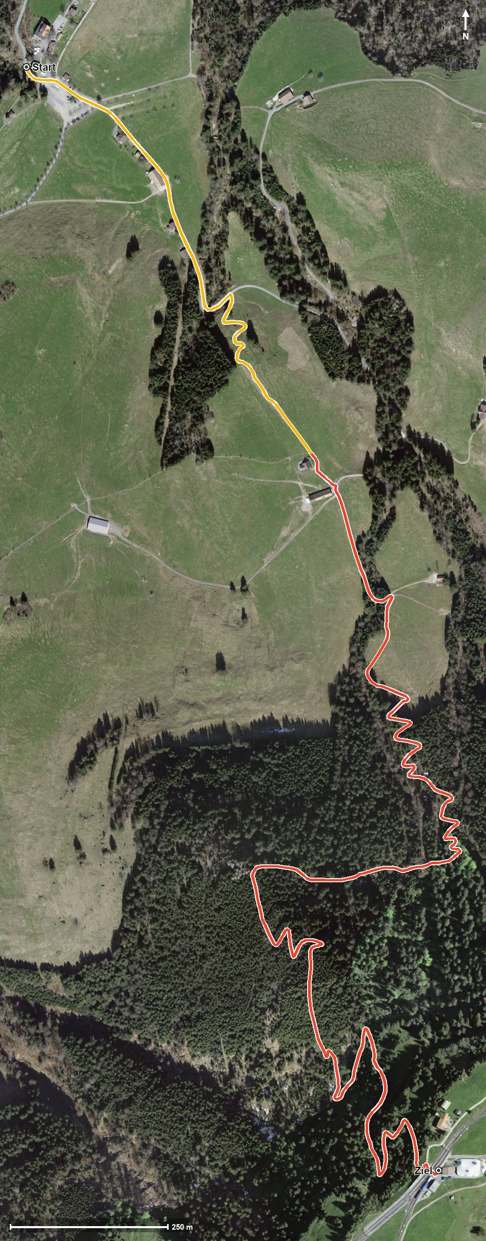 Luftbild mit eingezeichneter Route: Die Steile: Seebodenalp - Rigi Staffel (oder umgekehrt)