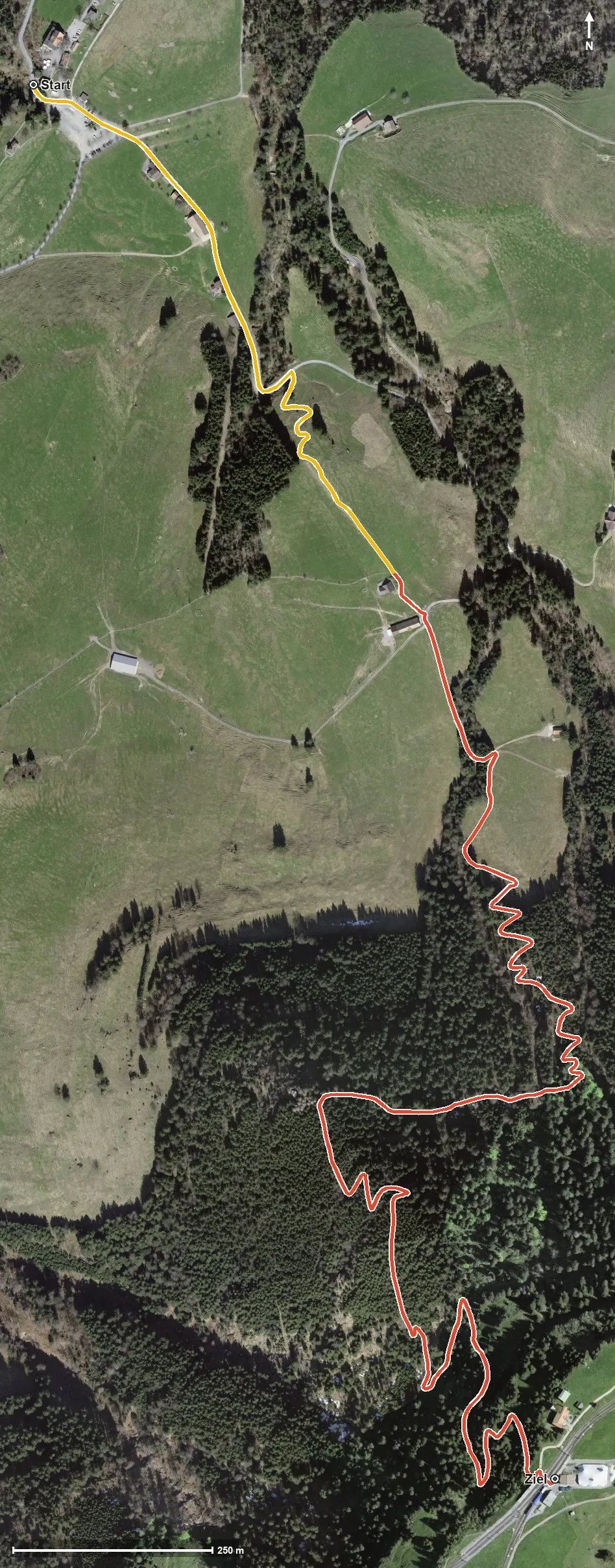 Luftbild Die Steile: Seebodenalp - Rigi Staffel (oder umgekehrt)